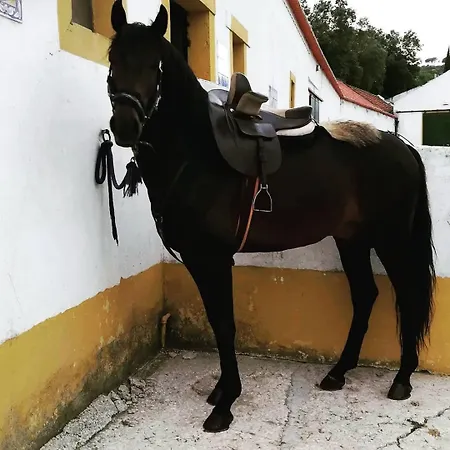 Casa Castelo Апартаменты